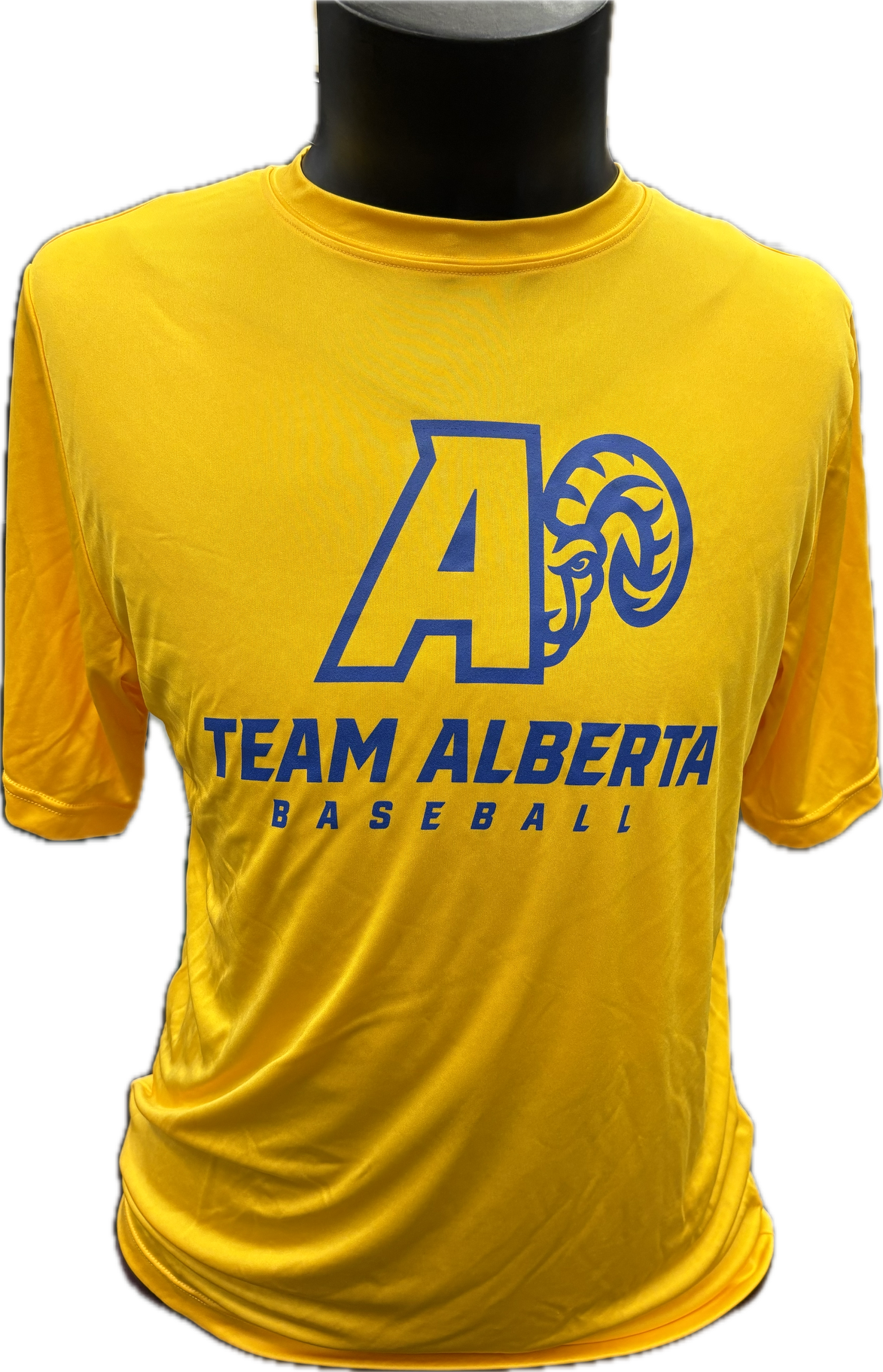 Team AB Bighorns Team 365 Performance T-Shirt (Yellow)