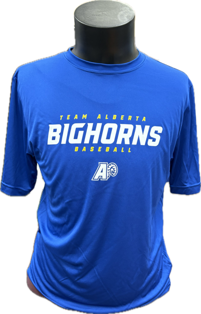 Team AB Bighorns Team 365 Performance T-Shirt (Blue)